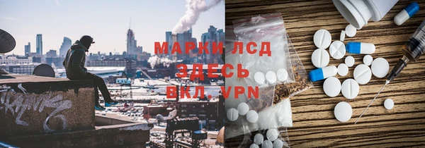 ГАЛЛЮЦИНОГЕННЫЕ ГРИБЫ Баксан
